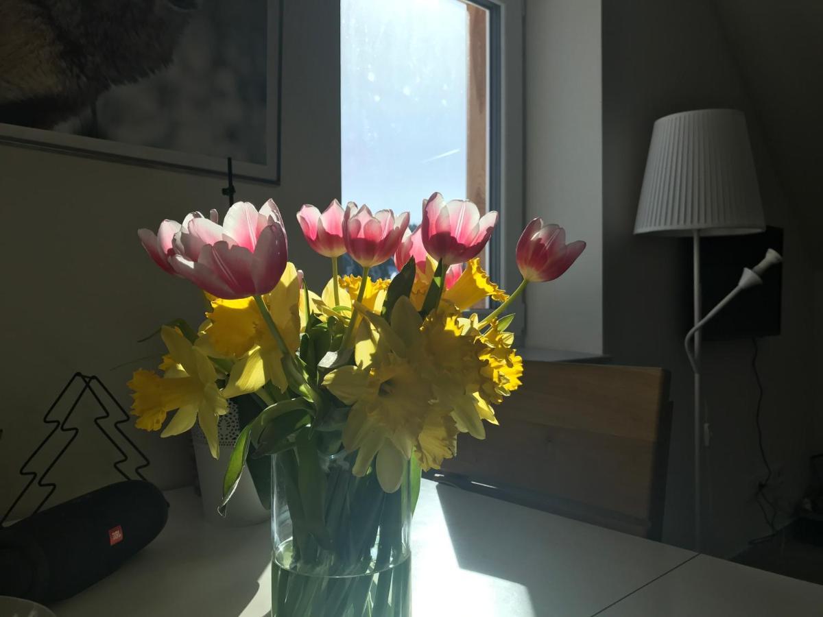 Penzion Kvilda - Lucni Eksteriør bilde